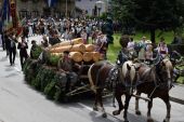 Gespann beim Festzug